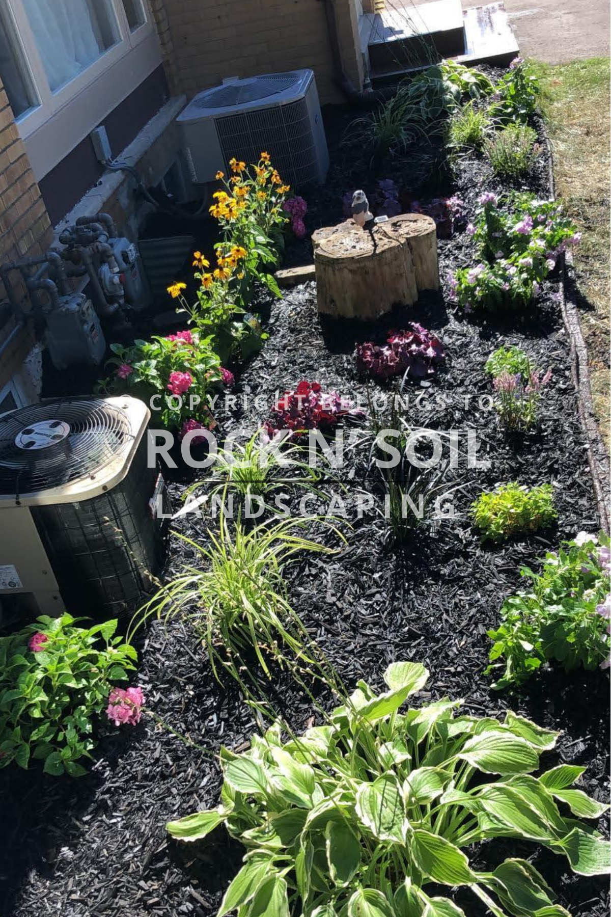 Beautiful flowers and plants with black mulch in a newly installed flower bed, adjacent to a residential home