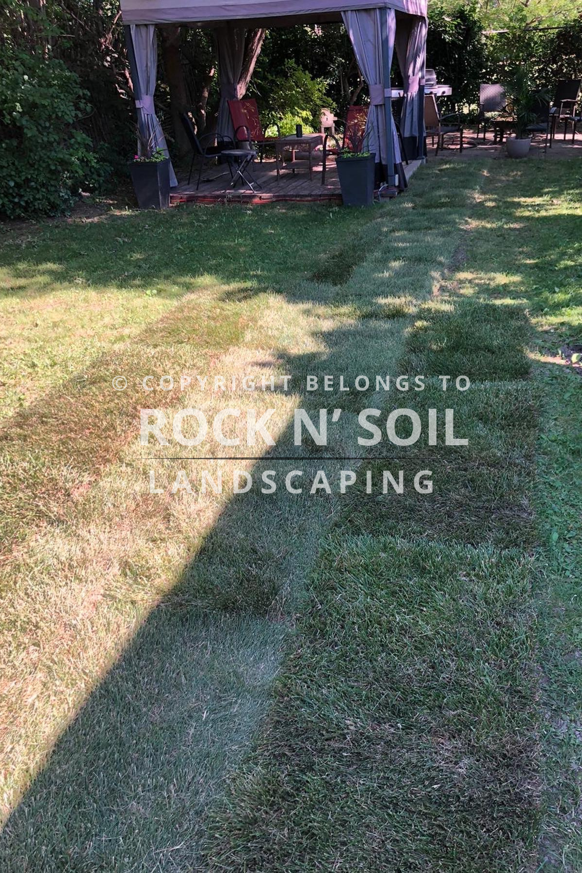 Beautiful and professionally installed grass after project completion