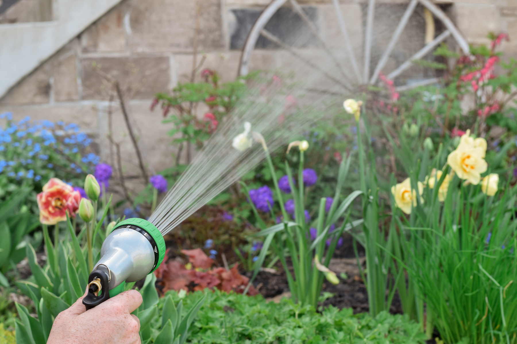 Healthy green lawn after proper lawn care