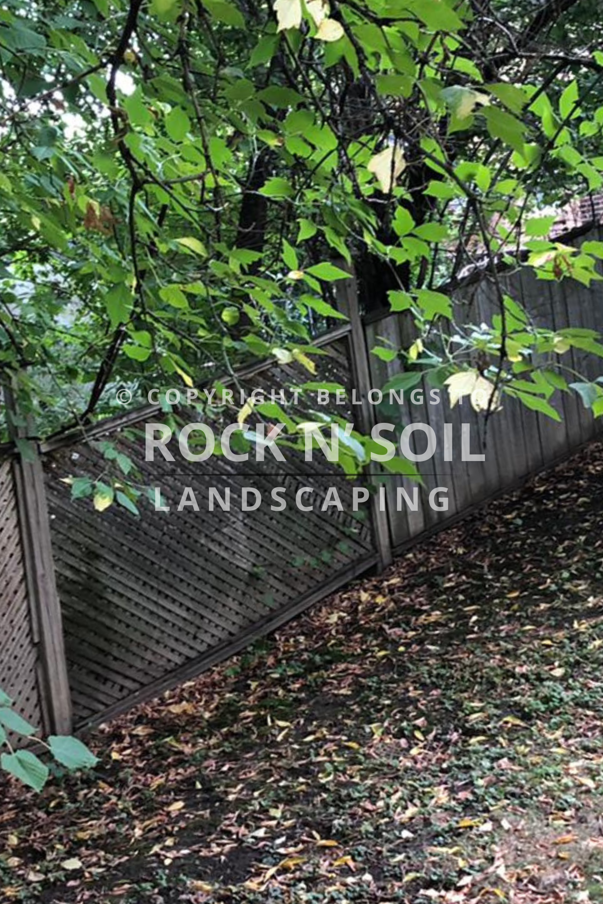 Old, unattractive fence before installation of a new fence