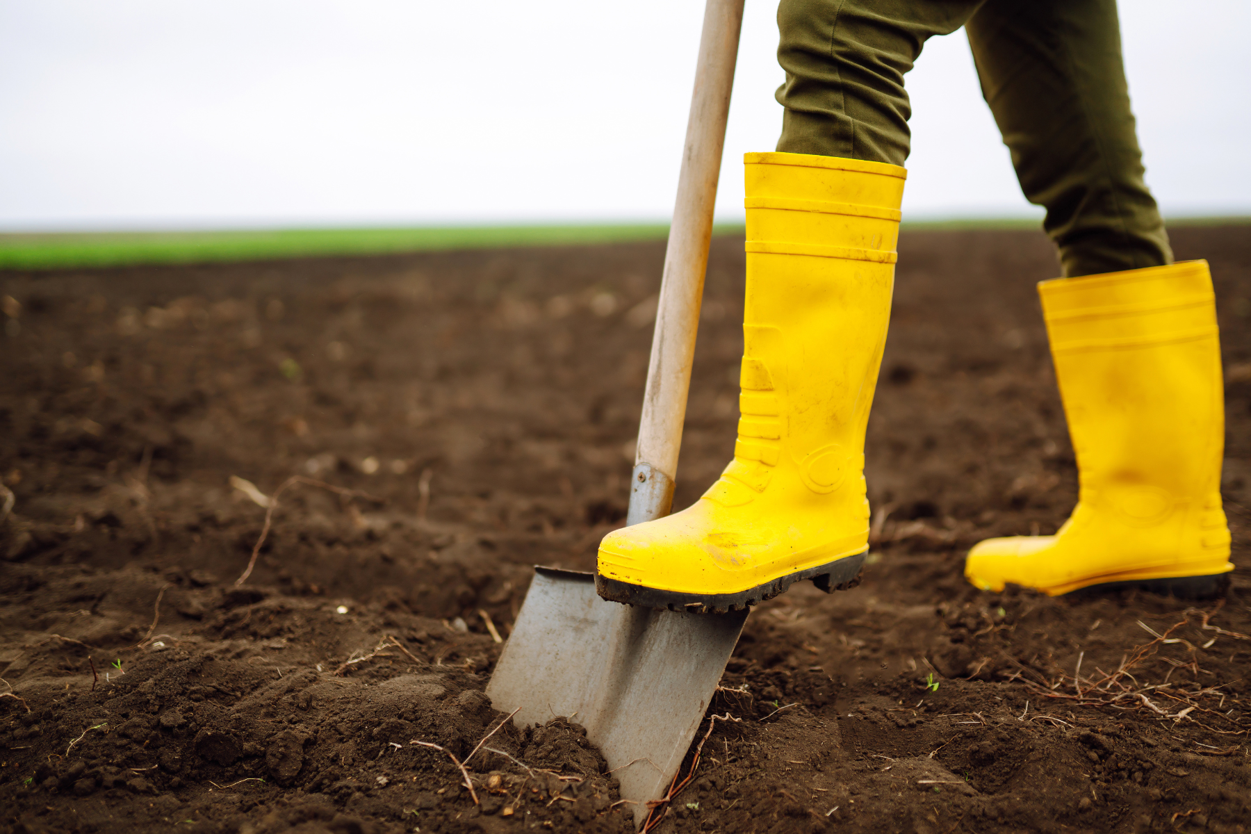 A woman wearing boots, shoveling soil to prepare the garden for winter