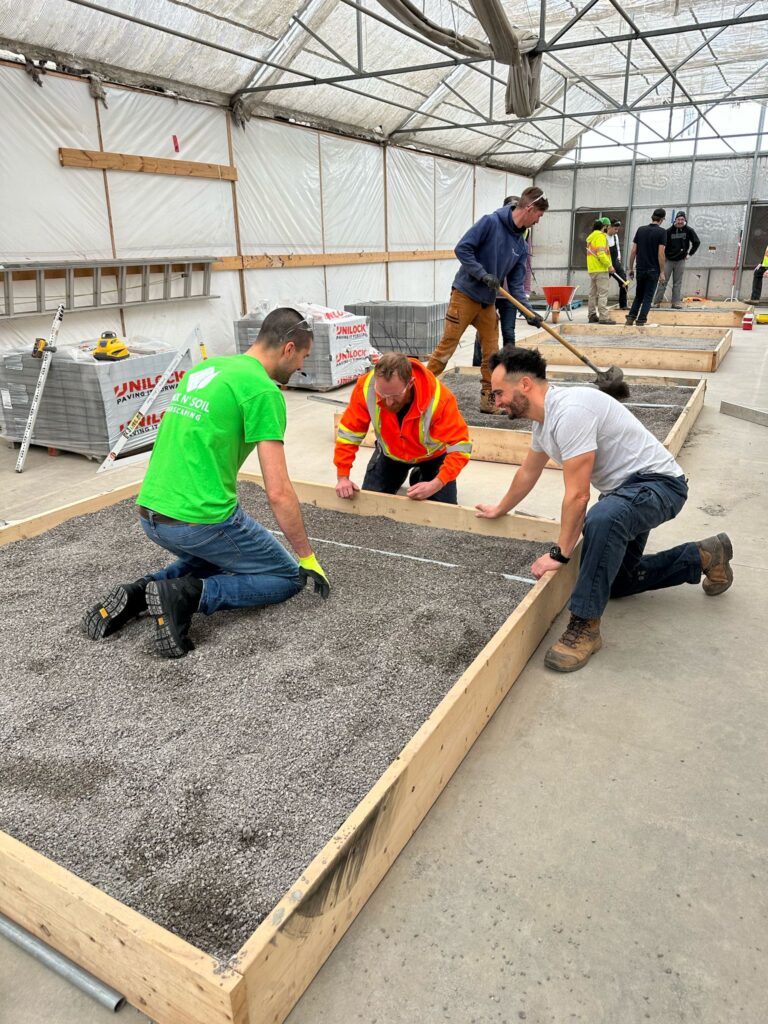 professional lawn care services