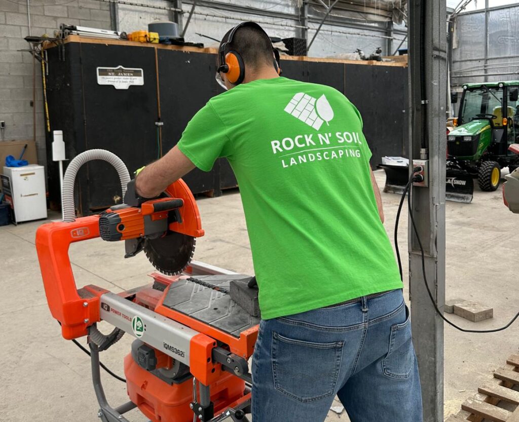 professional lawn care services