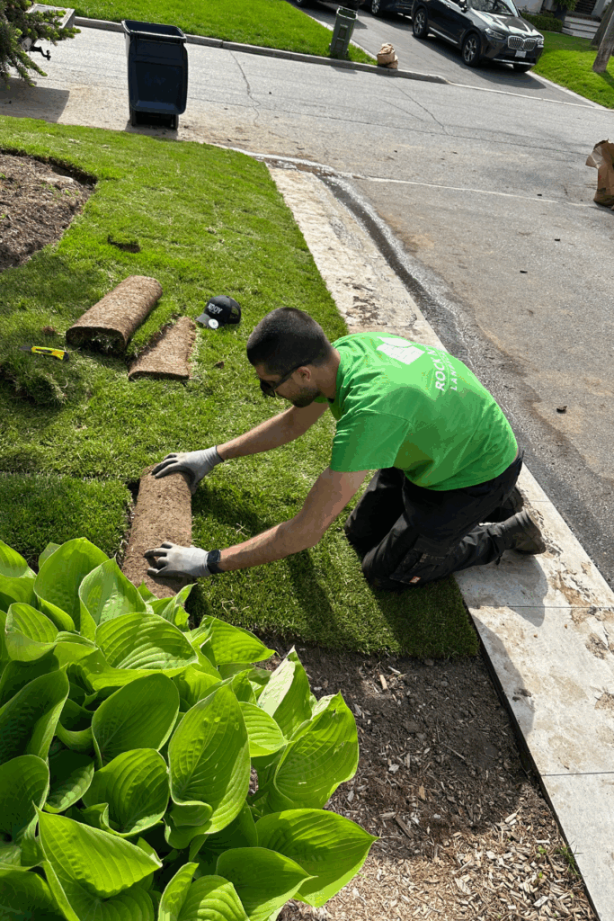 toronto installing sod and grass landscaping company and lawn care