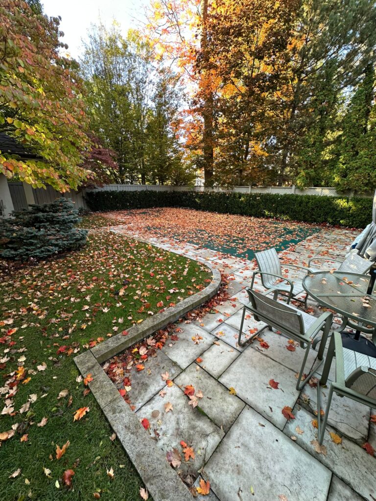 Fall cleanup checklist for homeowners – leaf removal and lawn prep