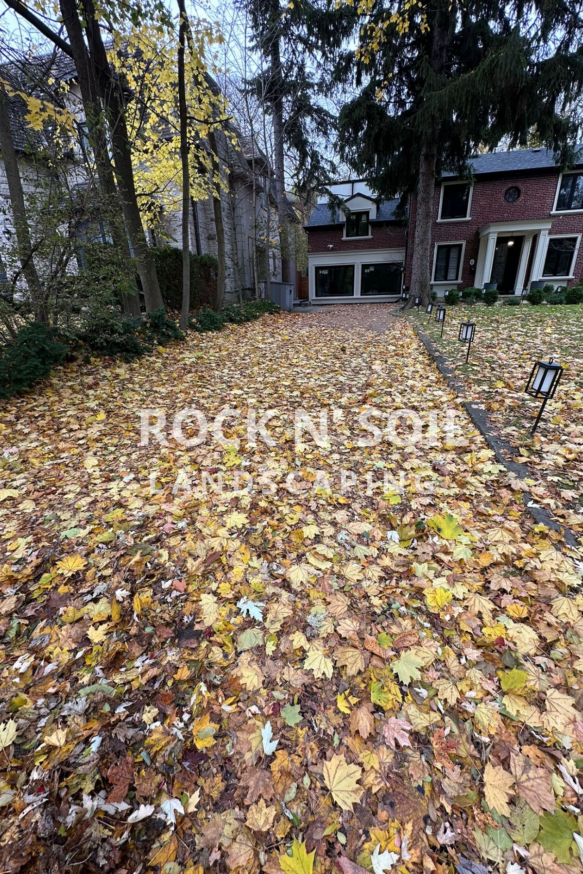 before and after photo of fall cleanup, the before photo shows how the leaves are all over the driveway