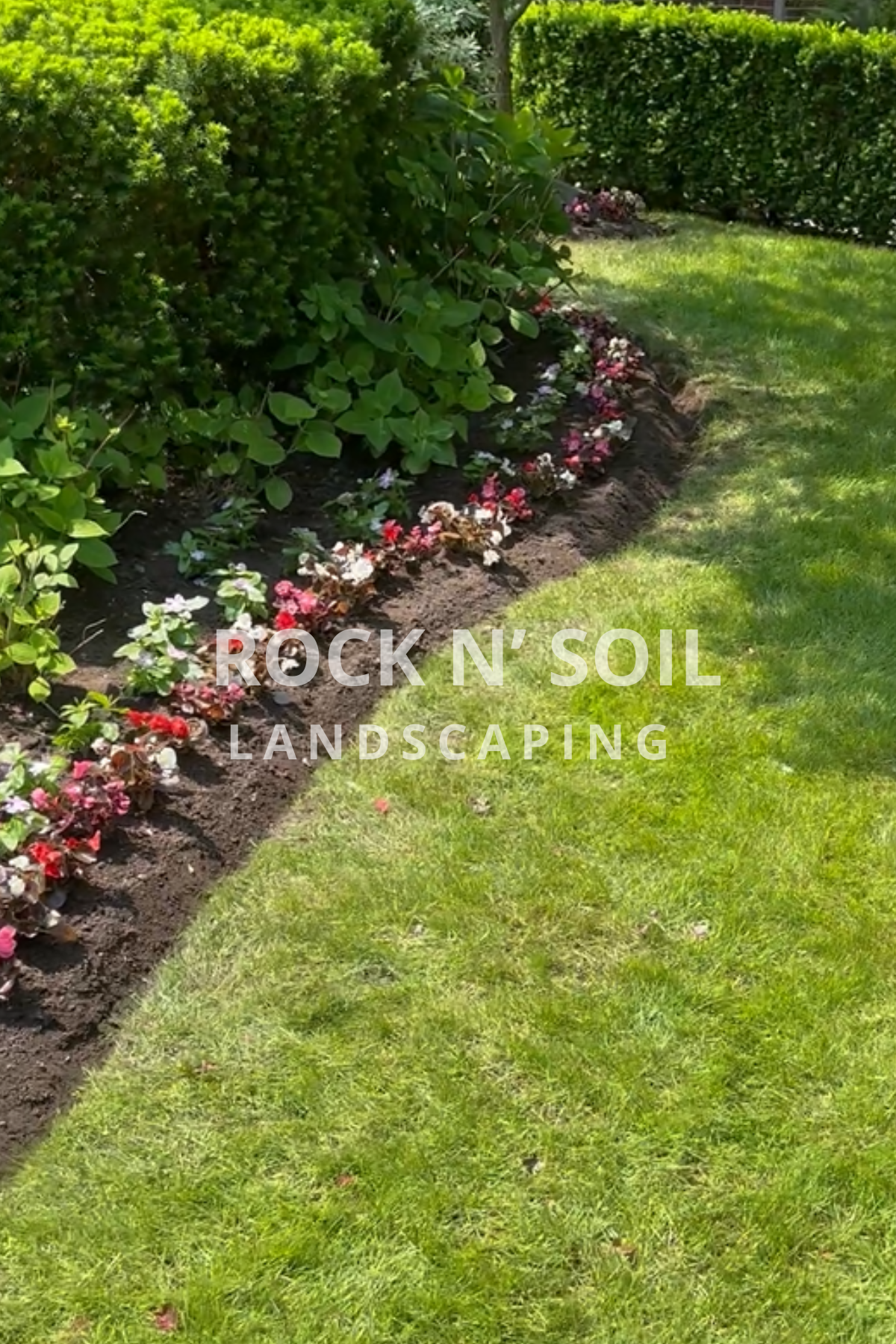 this is a before and after photo, this is a after photo of the backyard where is looks colorful and well maintained