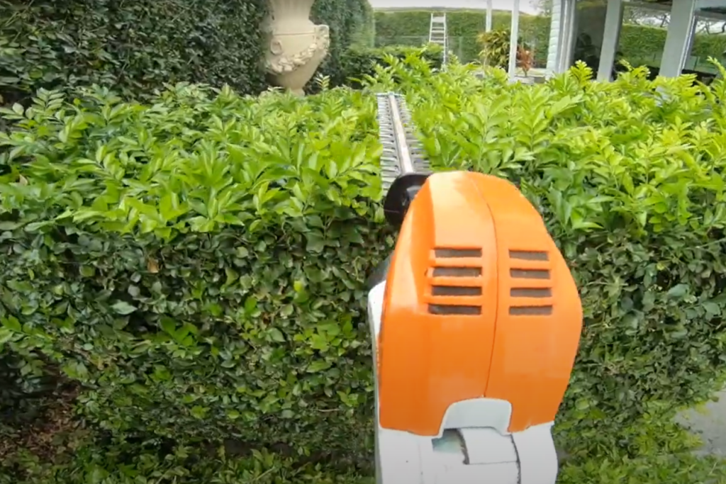 hedging and shaping overgrown bushes in maintenance