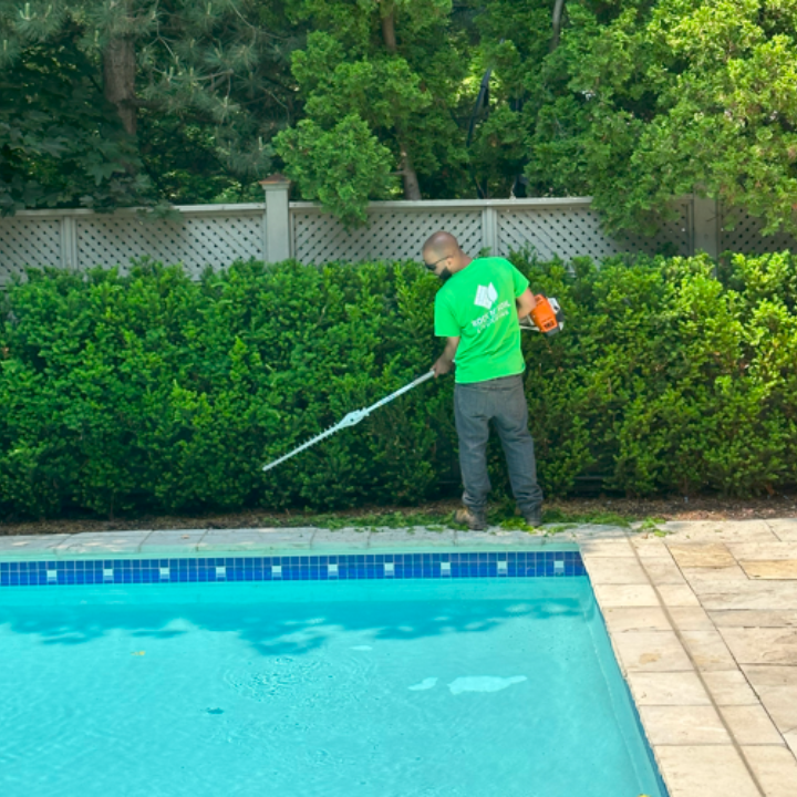 hedge trimming as part of our maintenance services