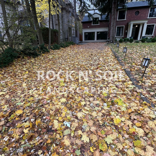 before and after photo of fall cleanup, the before photo shows how the leaves are all over the driveway