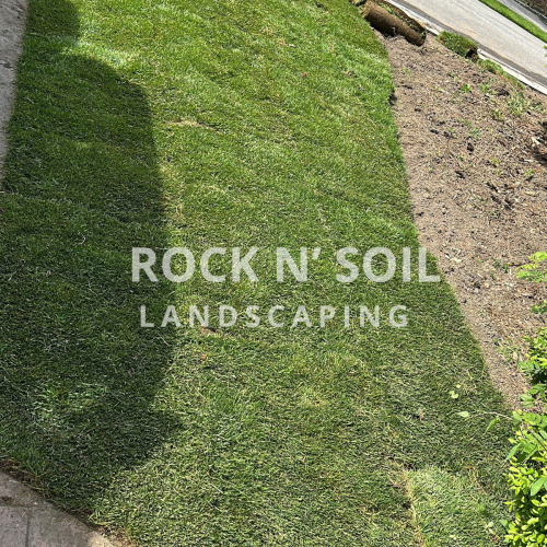 before and after photos, this is the after photo of a sod installation. This picture shows how the grass is full and fresh, with a great new front yard