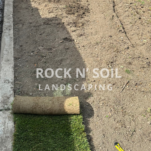before and after photos, this is the before photo of a sod installation. In this picture the first roll of sod is being laid