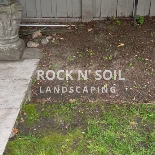 this is a before and after photo, this is a before photo of the backyard where is looks dull and boring