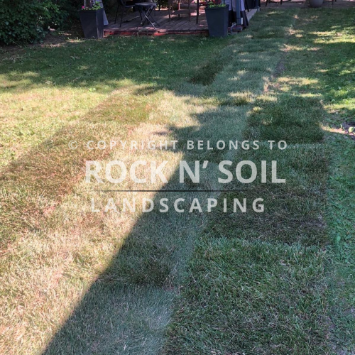 Beautiful and professionally installed grass after project completion